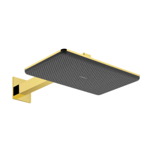 Palarie de dus Hansgrohe Raindance Alive Select Q 210x340 2jet EcoSmart cu brat de dus de perete 39cm gold optic imagine