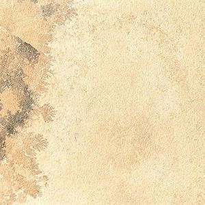 Piatra Sinterizata Hardscape Monviso Fossil, 90 X 60 X 2 cm, R11 - Antiderapanta pt exterior imagine