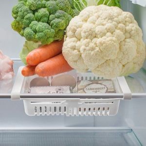 Recipient organizator pentru frigider Orion, 28, 5 x 16, 5 , imagine