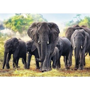 Trefl Elefanți africani puzzle, 1000 piese imagine