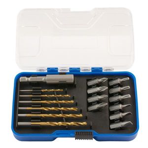 Set de biți și burghie Asist AR36-2001, 17 buc. imagine
