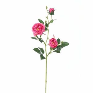 Trandafir englezesc artificial roz, 69 cm imagine