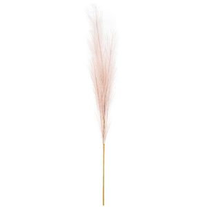 Iarbă Pampas, mov deschis, 9 x 77 cm imagine