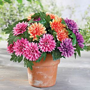 Buchet de dalii imagine