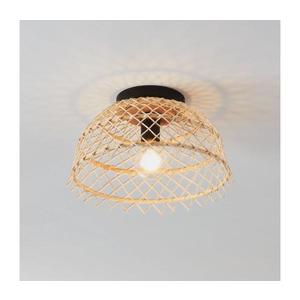 Plafonieră AUSNBY 1xE27/40W/230V Eglo 43831 imagine