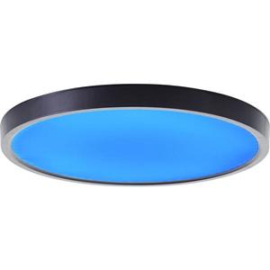 Plafonieră LED RGBW dimabilă Brilliant LOTTI LED/16W/230V + telecomandă imagine