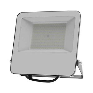 LED Proiector LED/100W/230V imagine