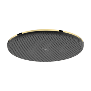 Palarie de dus Hansgrohe Raindance Alive Select S 300 1 jet EcoSmart gold optic imagine