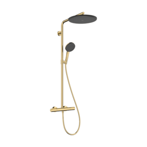 Coloana de dus Hansgrohe Raindance Alive S Puro 300 1jet EcoSmart cu baterie termostatata Ecostat gold optic imagine