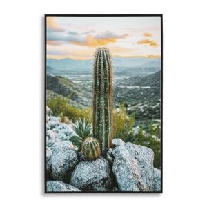 Mauro Ferretti Pictura Pe Panza, Cu Rama, Cactus -A- Cm 60X4X88 | Aosom Romania imagine