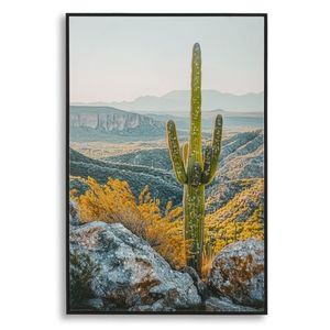 Mauro Ferretti Pictura Pe Panza Lacuita, Cu Rama, Cactus -B- Cm 60X4X88 | Aosom Romania imagine
