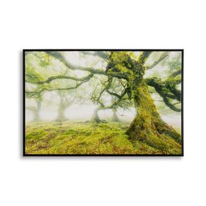 Mauro Ferretti Pictura Pe Panza, Lacuita, Cu Rama, Padure Cm 90X4X58 | Aosom Romania imagine