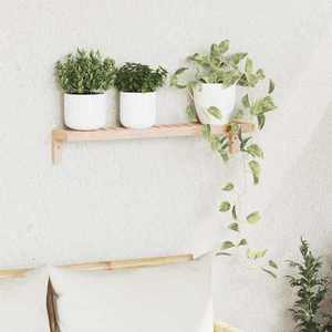 vidaXL Raft Suspendat pe Perete Bej 62 x 10 x 12.5 cm imagine