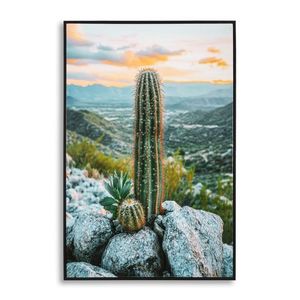 Tablou decorativ Cactus -H, Mauro Ferretti, 60x90 cm, canvas/lemn de pin/plastic, multicolor imagine
