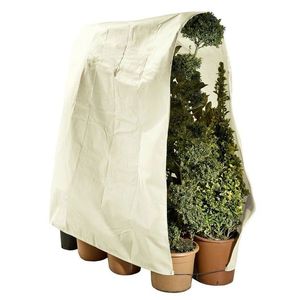 Protectie plante imagine