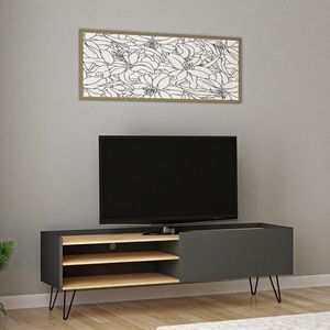 Comoda TV Veronica, Arnetti, 120 x 33.1 x 49.5 cm, oak/antracit imagine