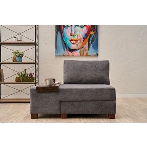 Fotoliu extensibil, Balcab Home, 825BLC4708, Lemn, Gri imagine