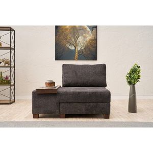 Fotoliu extensibil, Balcab Home, 825BLC4710, Lemn, Antracit imagine
