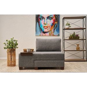 Fotoliu extensibil, Balcab Home, 825BLC4714, Lemn, Gri imagine