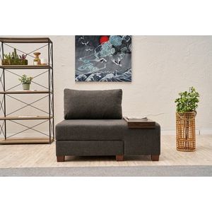 Fotoliu extensibil, Balcab Home, 825BLC4715, Lemn, Antracit imagine
