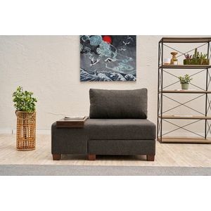 Fotoliu extensibil, Balcab Home, 825BLC4716, Lemn, Antracit imagine