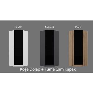 Dulap pentru haine, Minerva, Kale Glass Dark Grey3, 74x210x52 cm, PAL, Alb imagine