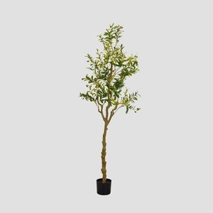 Planta artificiala maslin Ailia, Homla, 180 cm, plastic, verde imagine