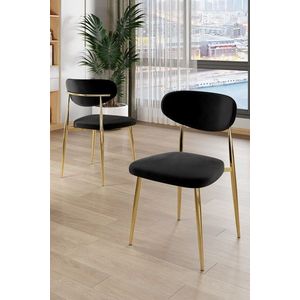 Set scaune 6 piese, Charlotte, Vina, Metal, Negru imagine