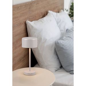 Lampa de masa Jeff, RL, 12.5x30 cm, 1.5W, 1x SMD, metal, gri deschis imagine