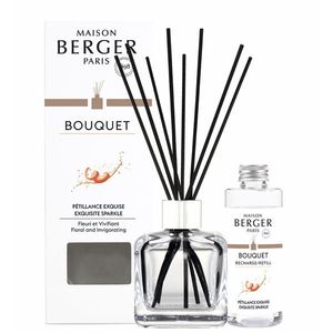 Difuzor parfum camera Maison Berger Ice Cube cu parfum Exquisite Sparkle 100ml imagine