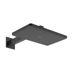 Palarie de dus Hansgrohe Raindance Alive Select Q 210x340 2jet EcoSmart cu brat de dus de perete 39cm negru periat imagine