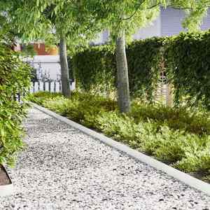 vidaXL Margine pentru gazon 50 pcs Alb 100 x 0.05 x 20 cm imagine