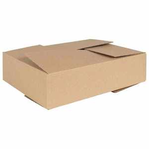 vidaXL Cutie Pliabilă cu depozitare 50 pcs Maro 40 x 30 x 10 cm Carton imagine