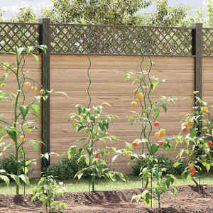 vidaXL Suporturi spiralate pentru plante 20 pcs Verde 170 cm imagine