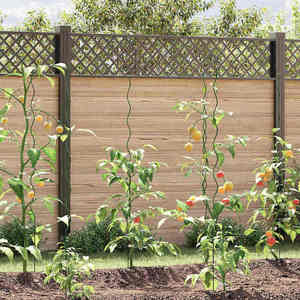 vidaXL Suporturi spiralate pentru plante 50 pcs Verde 150 cm imagine