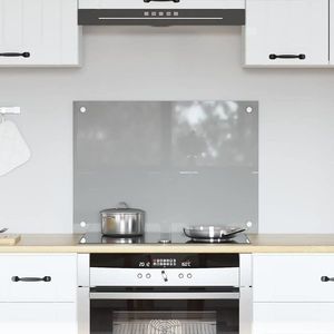 vidaXL Spate de bucătărie Gri deschis 70 x 50 x 0, 6 cm imagine