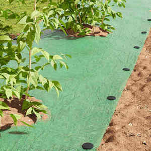 vidaXL Pegs din plastic 100 pcs Negru 3 x 11 cm Plastic imagine