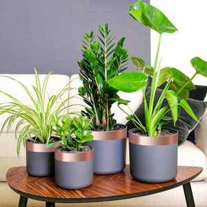 vidaXL Bandă din cupru dublă față 6 pcs Cupru 2000 x 5 cm Cupru imagine