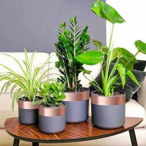 vidaXL Bandă din cupru dublă față 6 pcs Cupru 2000 x 7 cm Cupru imagine