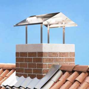 vidaXL Hood pentru coș de fum Argintiu 60 x 60 x 38 cm Oţel inoxidabil imagine