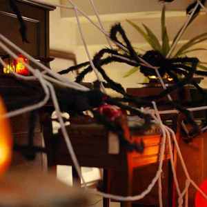 vidaXL Decorațiune de Halloween cu păianjeni și pânze 4 pcs 150 cm imagine