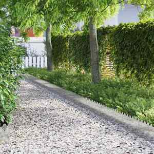 vidaXL Borduri pentru gazon 20 pcs Argintiu 103 x 0, 05 x 22 cm imagine