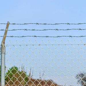 vidaXL Sârmă ghimpată Verde 100 m Oțel galvanizat prin imersie la cald imagine