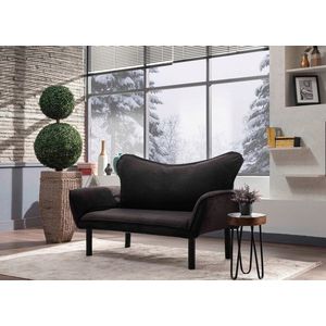 Canapea extensibila 2 locuri, Futon, 859FTN1226, Metal, Negru imagine