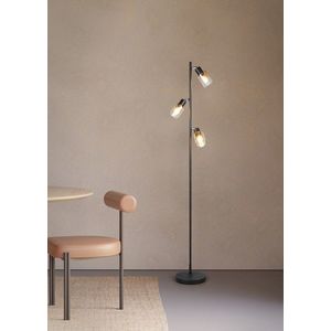 Lampadar Cadiz, RL, 23x154 cm, 10W, 3x E14, metal, negru mat/transparent imagine