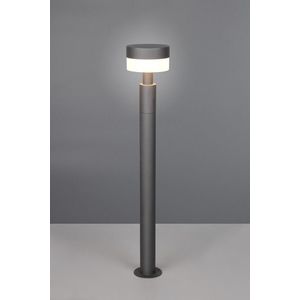 Lampadar de exterior Mackenzie, TRIO, 16.5x95 cm, 8W, 1x SMD, aluminiu, antracit imagine