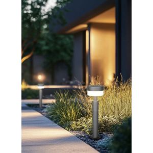 Lampadar de exterior Mackenzie, TRIO, 16.5x65 cm, 8W, 1x SMD, aluminiu, antracit imagine