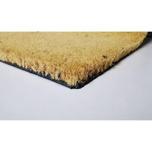 Covoras intrare Common 40x60cm - Unic Spot Ro imagine