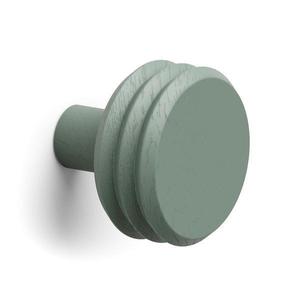 Agatatoare cuier Pulse Color, finisaj verde matcha, 65x57 mm imagine