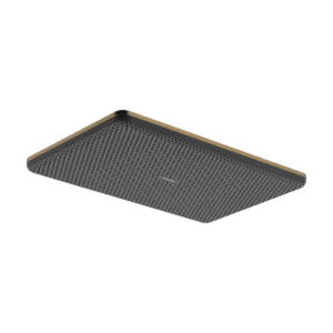 Palarie de dus Hansgrohe Raindance Alive Select Q 210x340 1 jet EcoSmart bronz periat imagine